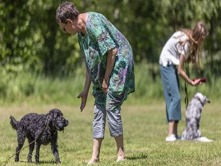 Bärbel und Friederike arbeiten mit ihren Hunden